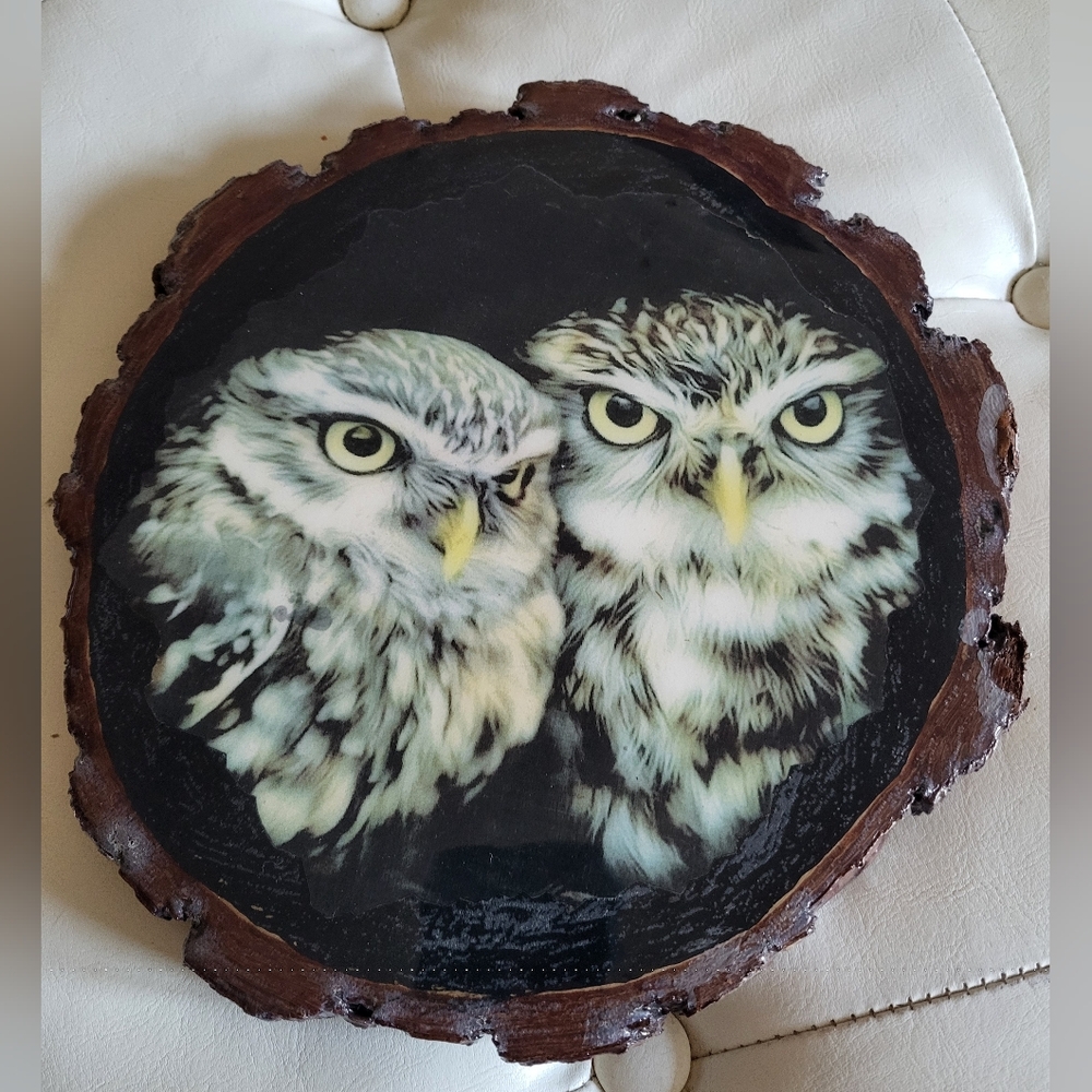 Owl Art on Wood Slice